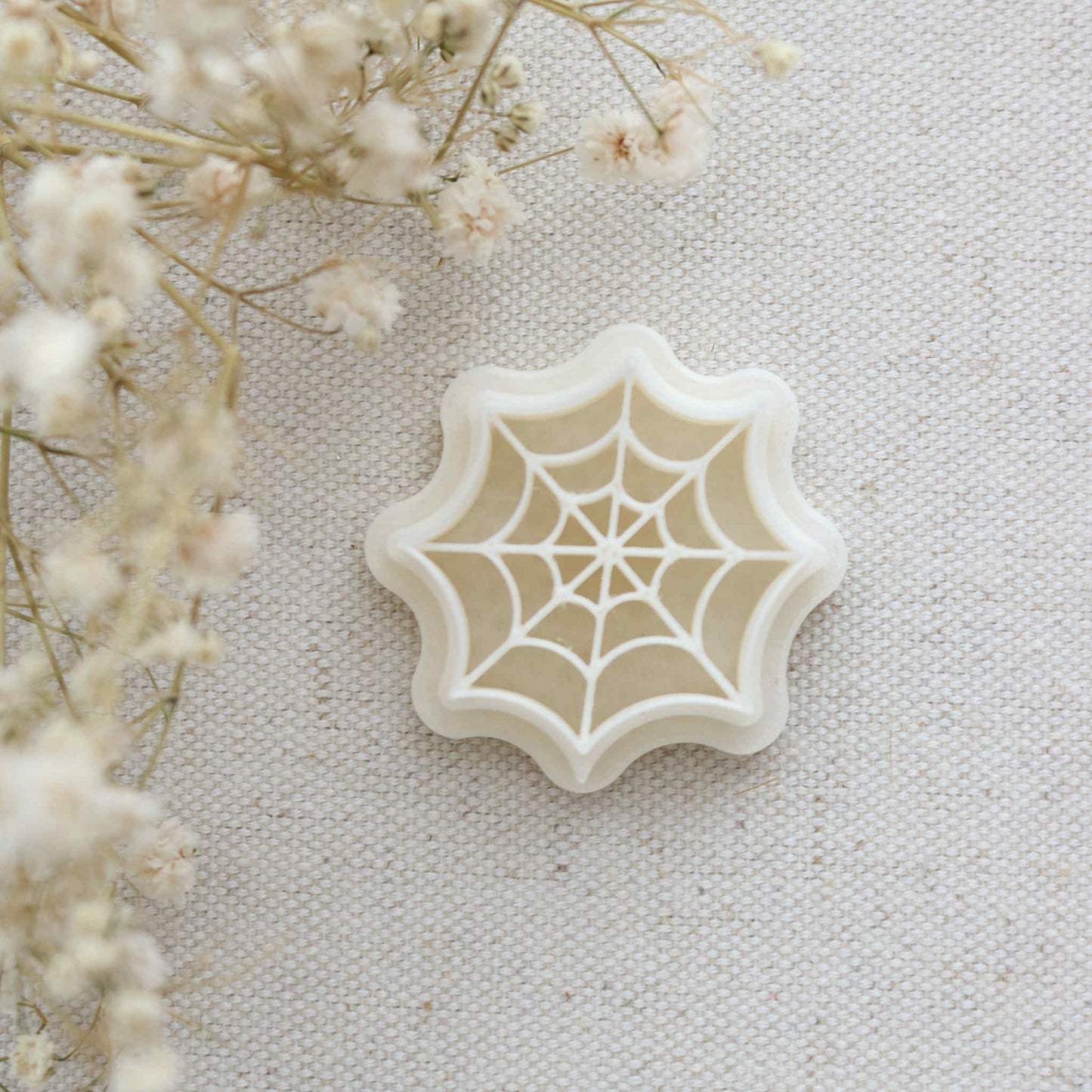 Fall 25 - Spider Web Cutter